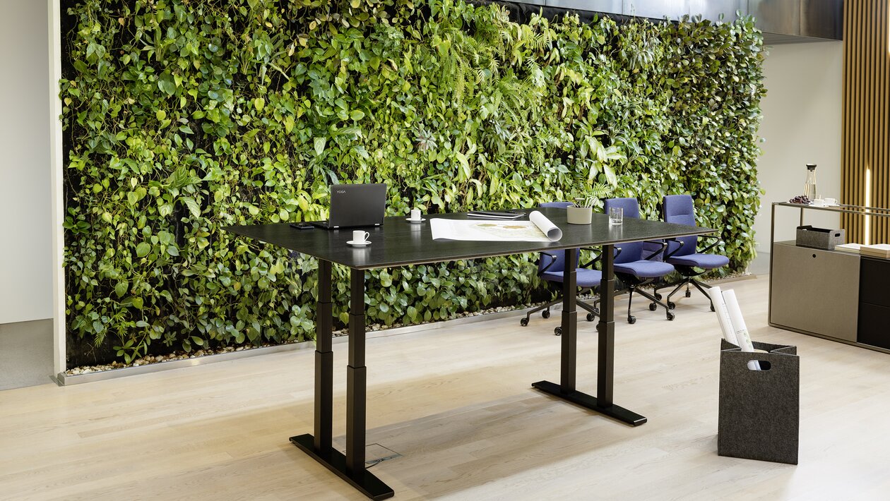 Dark height adjustable conference table in front of a plant wall.