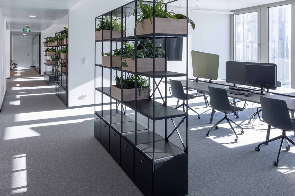 Clean Capital Energy | © Martin Zorn Photography Cloison ouverte avec des plantes et un bureau d’équipe | © Martin Zorn Photography