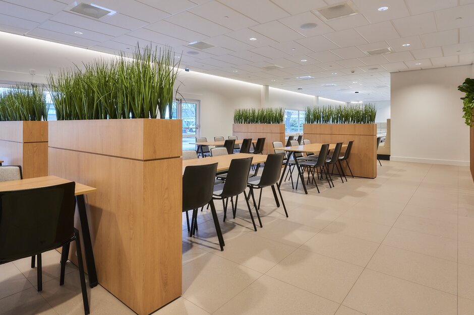 cantine avec tables en bois, chaises noires et plantes | © Michel Campfens