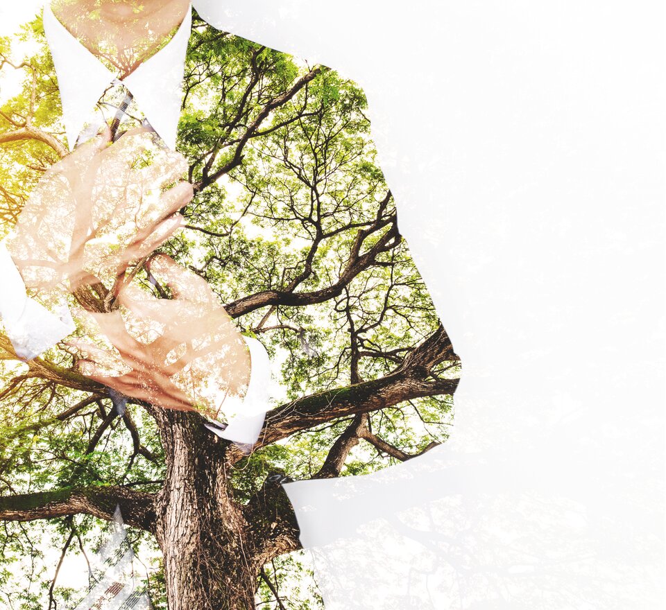 Graphic of a person in a suit with a tree motif.