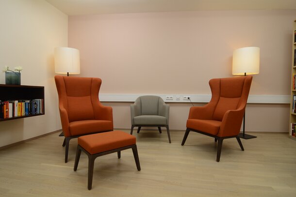 SeneCura deux bergères à oreilles rouges et un fauteuil club gris