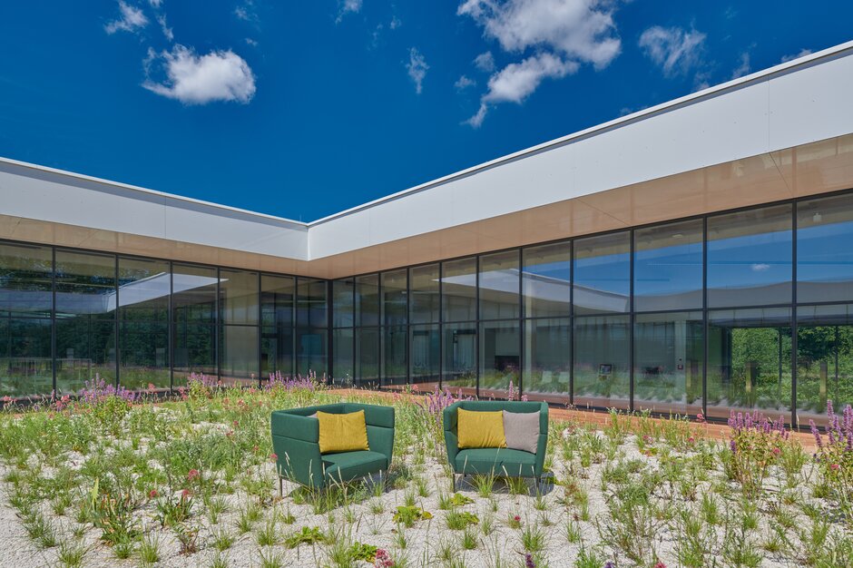 canapés verts dans une prairie de fleurs en face d’un bâtiment de verre | © raumpixel.at